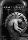 Csalog Zsolt - A tengert akartam l�tni