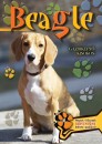  - Beagle