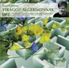 Fekete Ern� - Daniel Keyes - Vir�got Algernonnak