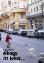 L�ng Tam�s - Ahogy itt lehet...