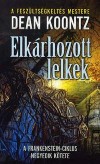 Dean R. Koontz - Elk�rhozott lelkek