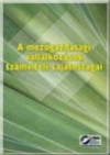 Dr. Sikl�si �gnes - A mez�gazdas�gi v�llalkoz�sok sz�mviteli elsz�mol�s�nak saj�toss�gai 2006