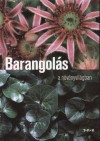 Moln�r V. Attila - Barangol�s a n�v�nyvil�gban
