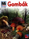Heike Herrmann - Gomb�k
