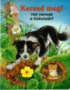 Katja Epes - Keresd meg! - Hol vannak a kiskuty�k?