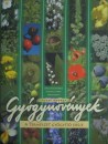 Buday Andrea - Gy�gyn�v�nyek - A term�szet gy�gy�t� ereje
