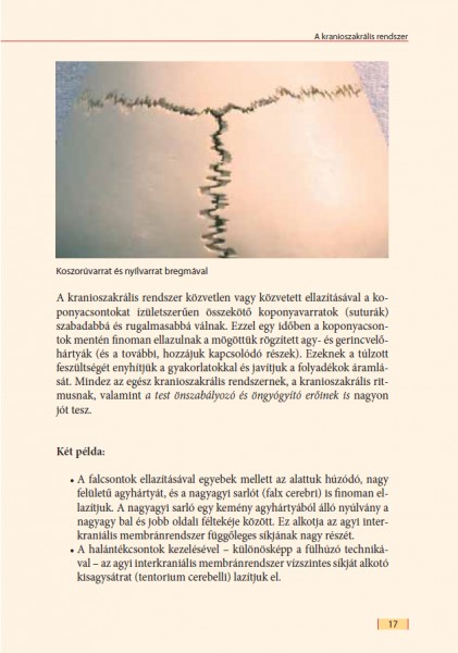 dr danima damdindorj az öngyógyítás művészete pdf download