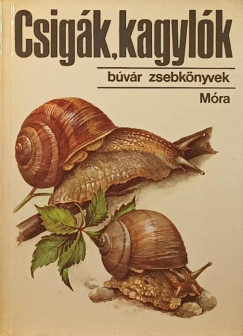Dr. Krolopp Endre - Csigk, kagylk