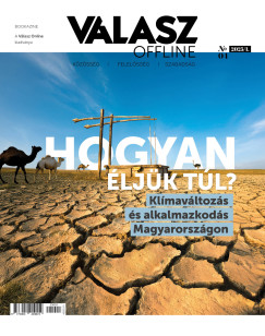 Borbs Barna  (Szerk.) - Stumpf Andrs  (Szerk.) - Vlasz Offline Bookazine - 2025/1.