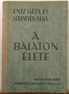 A Balaton �lete