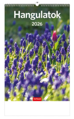 Hangulatok falinaptr 22x33 cm - 2026