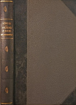 Vezet� Debrecen sz. kir. v�ros D�ri M�zeum�ban