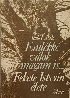 Emlkk vlok magam is...