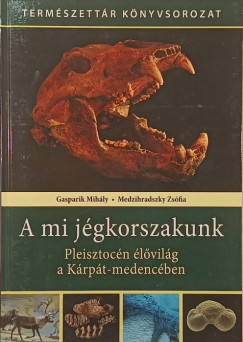 A mi j�gkorszakunk