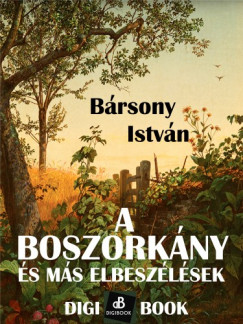 Brsony Istvn - A boszorkny s ms elbeszlsek