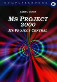 Ms Project 2000