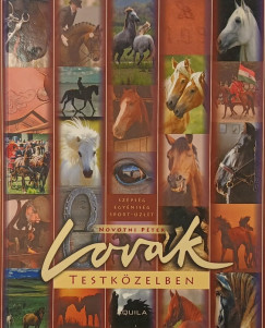 Lovak testk�zelben