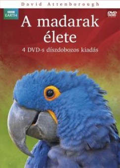 BBC - A madarak lete dszdoboz - 4 DVD