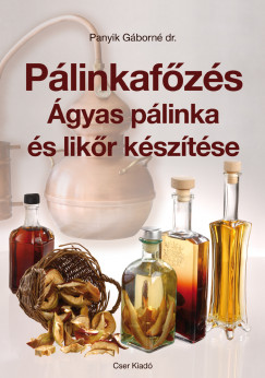 Dr. Panyik Gborn - Plinkafzs