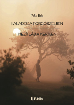 Pállai Béla - Haladék a forgószélben