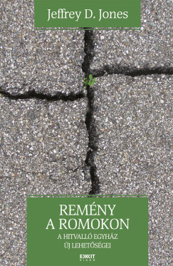 Remny a romokon