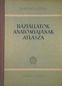 Hzillatok anatmijnak atlasza