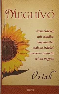 Megh�v�
