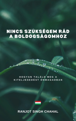 Ranjot Singh Chahal - Nincs Szksgem Rd a Boldogsgomhoz