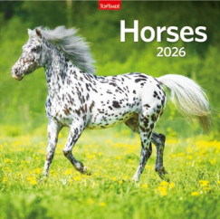 Horses - Lemeznaptár - 58x29 cm - 2026