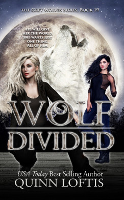 Loftis Quinn - Wolf Divided