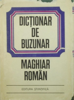 Dictionar de buzunar maghar-roman