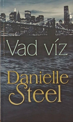 Danielle Steel - Vad víz