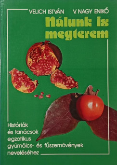 Nlunk is megterem
