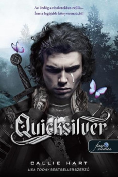 Quicksilver - kemny kts