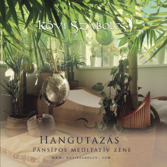Hangutazs, pnspos meditatv zene - karton tokos - CD