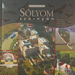 S�lyom sz�rny�n