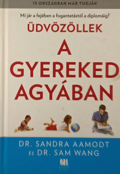 dvzllek a gyereked agyban