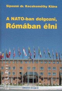 A NATO-ban dolgozni, Rmban lni