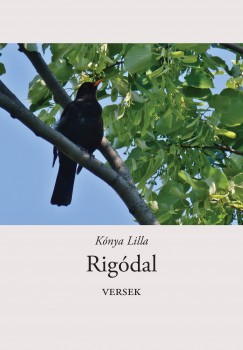 Knya Lilla - Rigdal