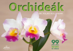 Orchidek