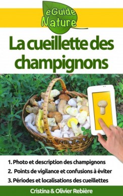 La cueillette des champignons