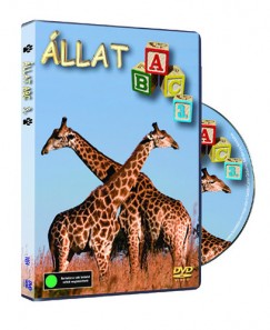 llat ABC 3. - DVD