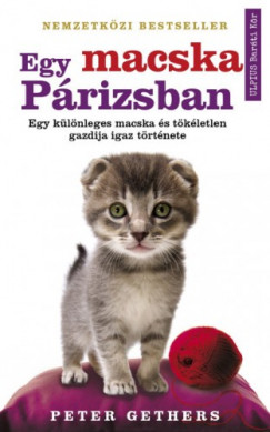 Egy macska Prizsban - Egy klnleges macska s tkletlen gazdija igaz trtnete