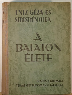A Balaton lete