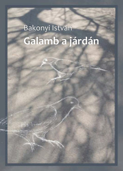 Galamb a jrdn