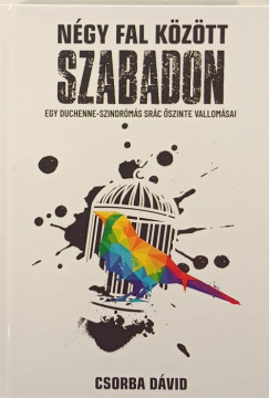 Ngy fal kztt szabadon