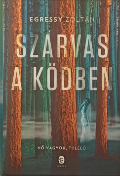 Szarvas a ködben