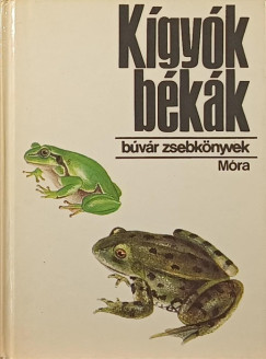 K�gy�k, b�k�k