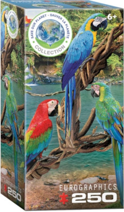 Ara Papag�jok, 250 db-os puzzle (EUROGRAPHICS,8251-5588)