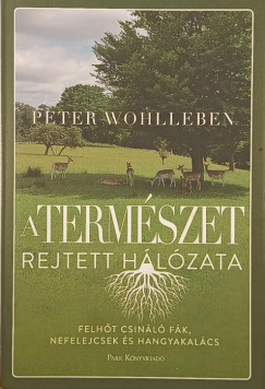 A term�szet rejtett h�l�zata